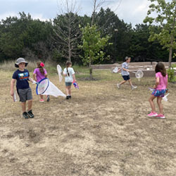 campers catching insects with nets