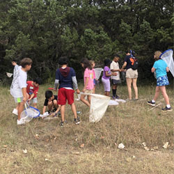 campers catching insects with nets