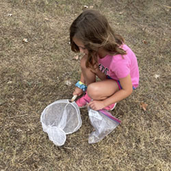 camper catching insects with net