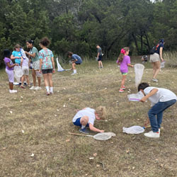 campers catching insects with nets