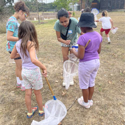 campers catching insects with nets