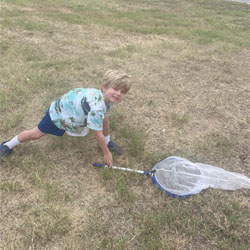 camper catching insects with net