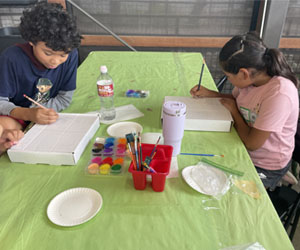 campers making insect boxes