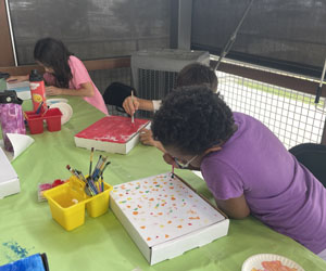 camper decorating insect box