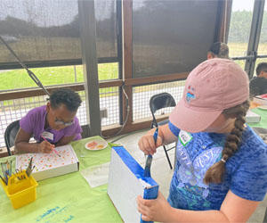 camper decorating insect box