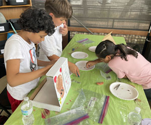 campers making insect boxes