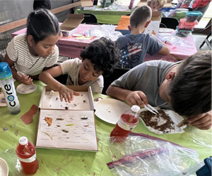 campers making insect boxes