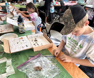 campers making insect boxes