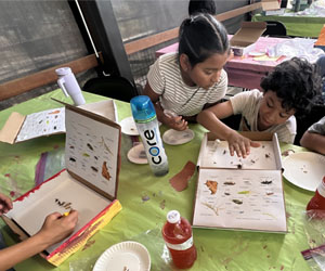 campers making insect boxes