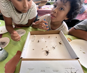 camper making insect box