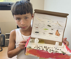 camper displaying insect box