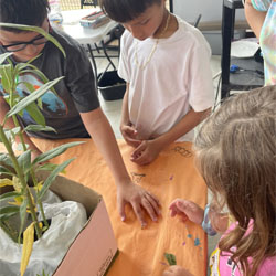 campers observing monarch butterfly caterpillar