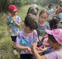 campers hiking