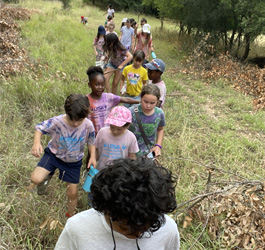 campers hiking