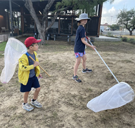 campers catching insects with nets