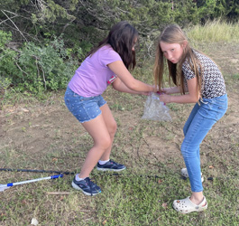 campers catching insects