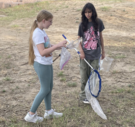 campers with insect nets