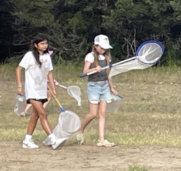 campers with insect nets