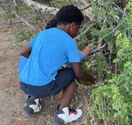 camper examining bush