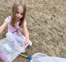 camper catching insects