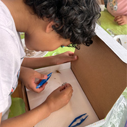 camper making insect box