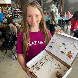 camper and insect box