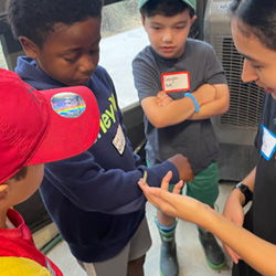 campers looking at caterpillar