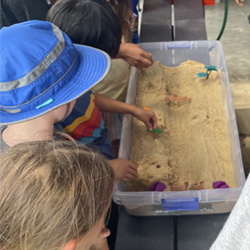 campers working with sand to create rivers