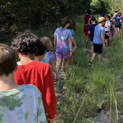 campers hiking