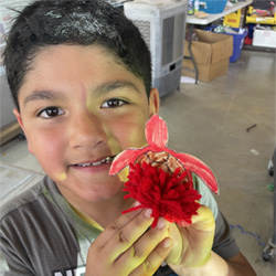 camper displaying aquatic animal craft