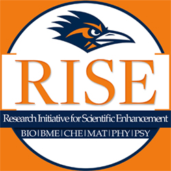 RISE logo