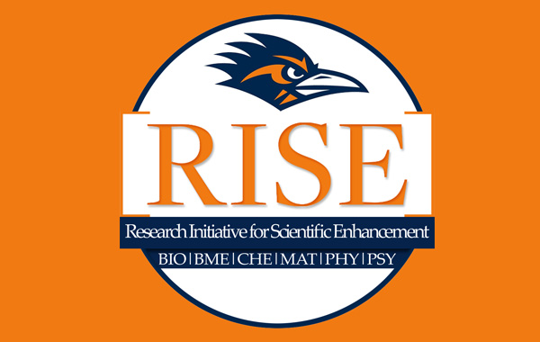 RISE logo