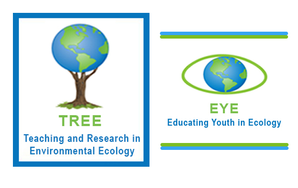 TREE and EYE logos