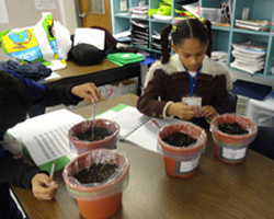 students planting pots