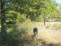 student in field grass