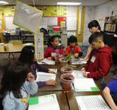 students planting in pots