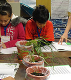 students planting in pots