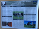 research poster