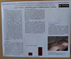 research poster