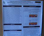 research poster