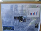 research poster