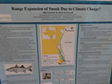 research poster