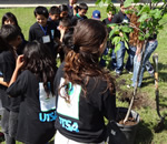 students and tree planting