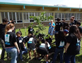 students and tree planting