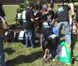 students and tree planting