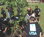 students and tree planting