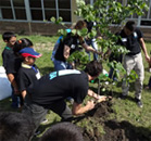 students and tree planting