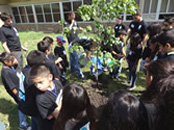 students and tree planting