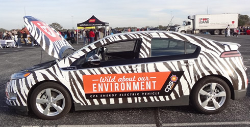 zebra-striped environment car