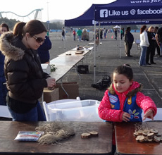 participants at TREE table